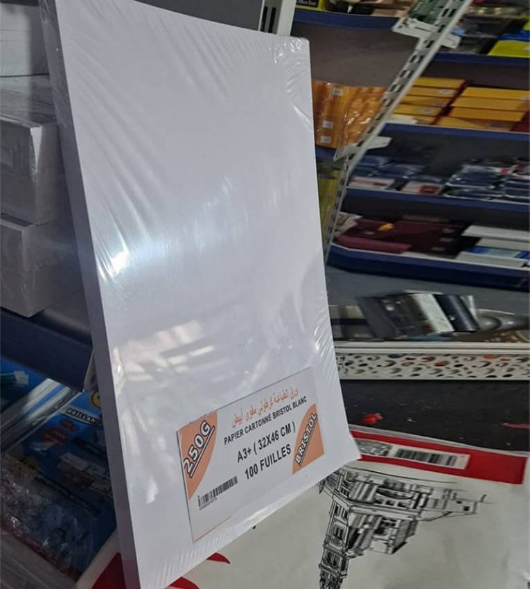 Papier Cartonné Bristol Blanc A3+ – 250G – 100 Feuilles